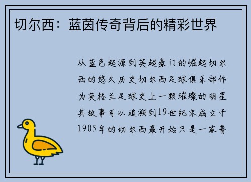 切尔西：蓝茵传奇背后的精彩世界